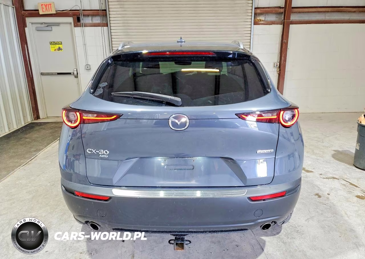 2021 Mazda Cx-30 Premium VIN:3MVDMBDL5MM238613 - 6
