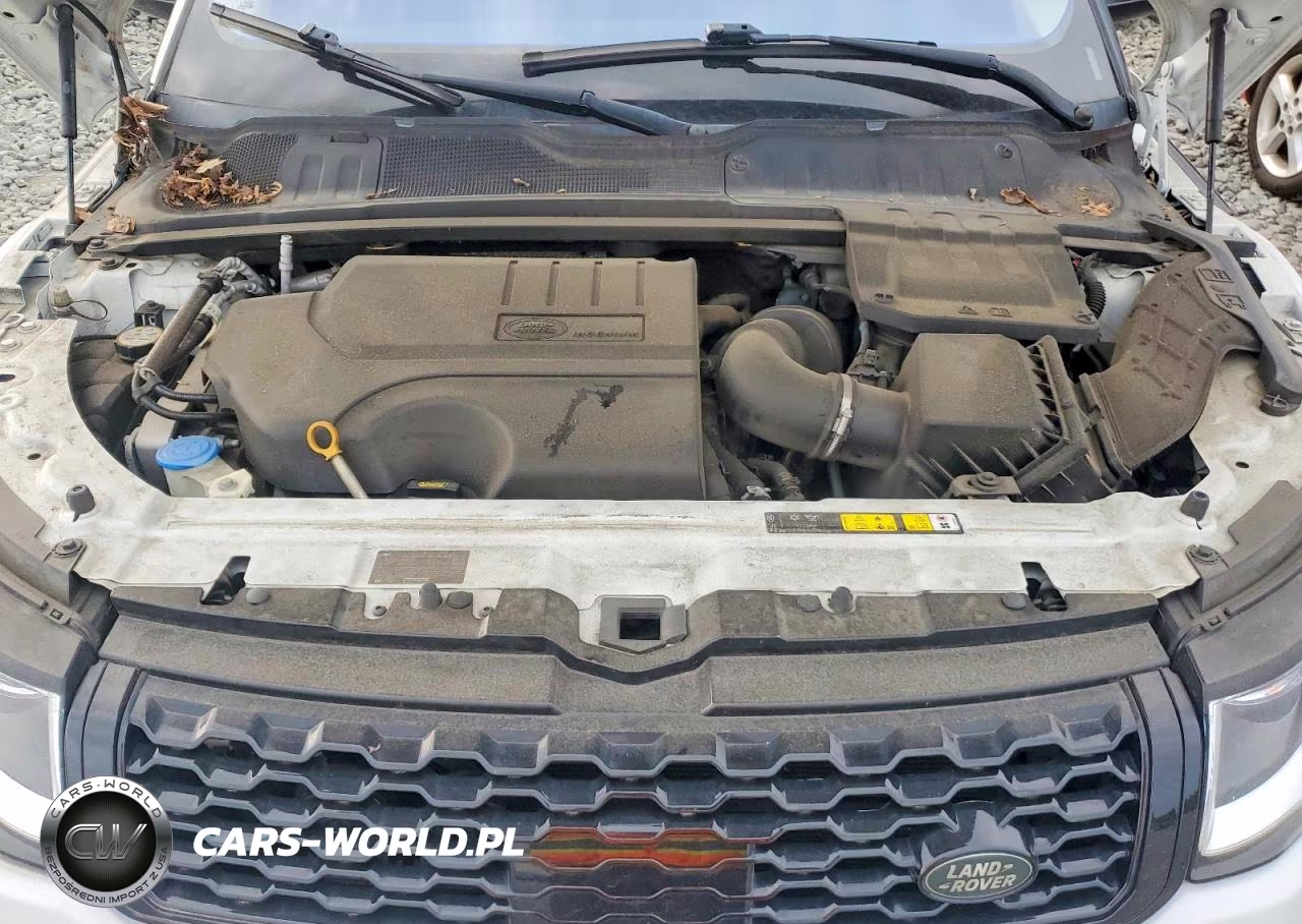 2018 Land Rover Range Rover Evoque Se VIN:SALVP2RX2JH287656 - 11