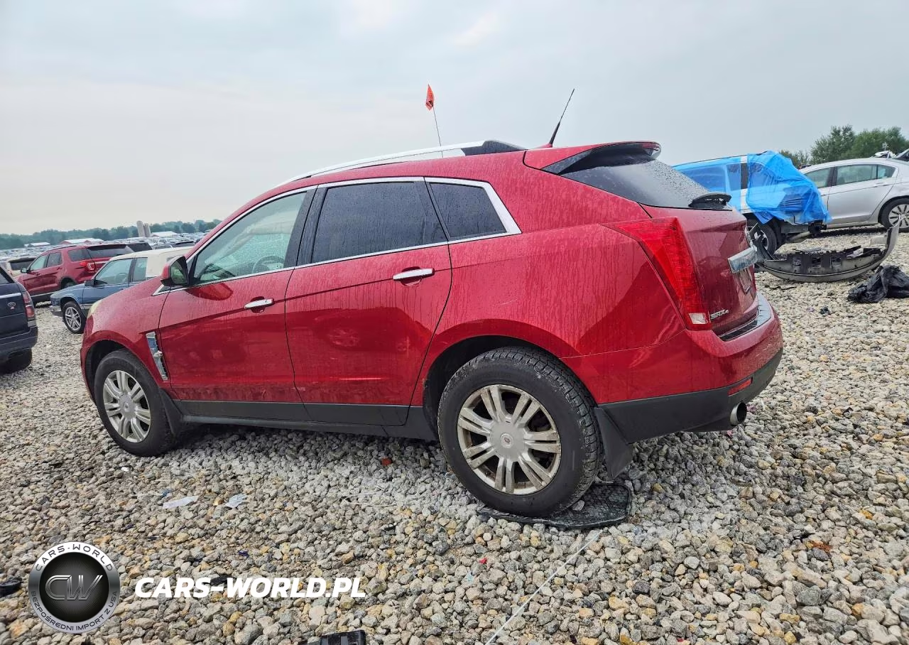 2010 Cadillac Srx Luxury Collection VIN:3GYFNDEY5AS624477 - 2