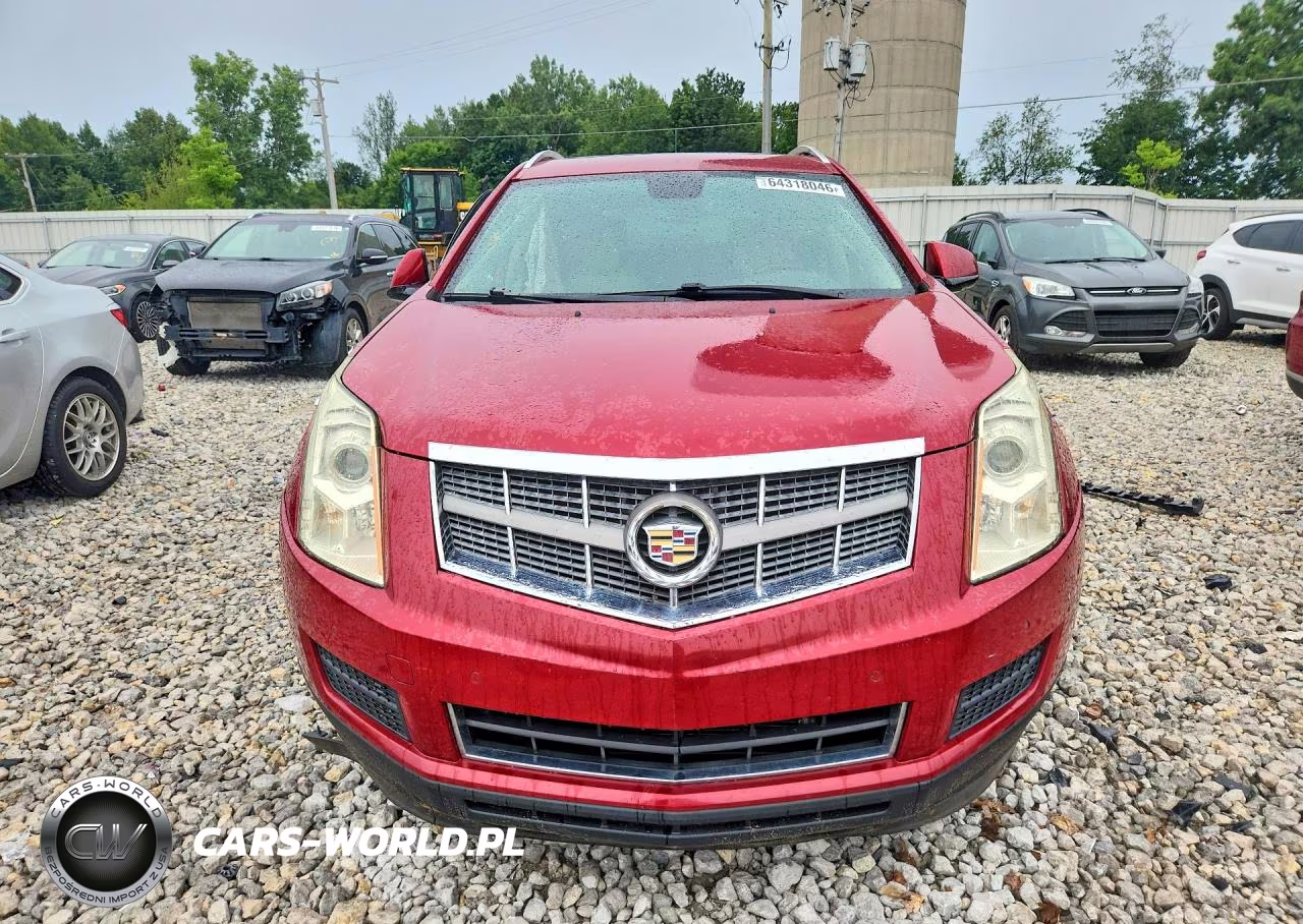 2010 Cadillac Srx Luxury Collection VIN:3GYFNDEY5AS624477 - 5