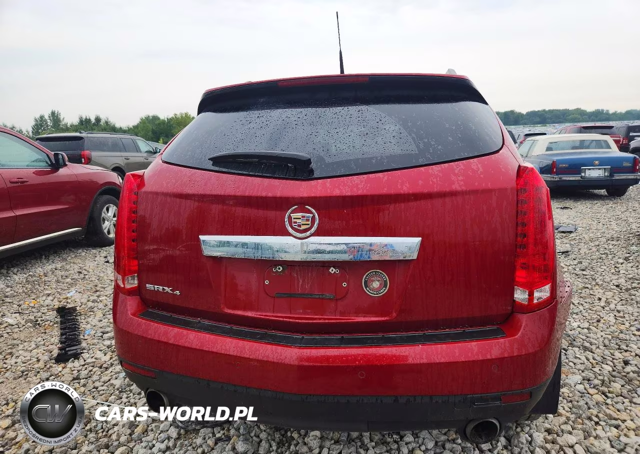 2010 Cadillac Srx Luxury Collection VIN:3GYFNDEY5AS624477 - 6