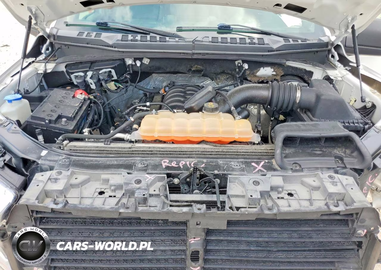 2019 Ford F150 VIN:1FTMF1C51KKC32417 - 11