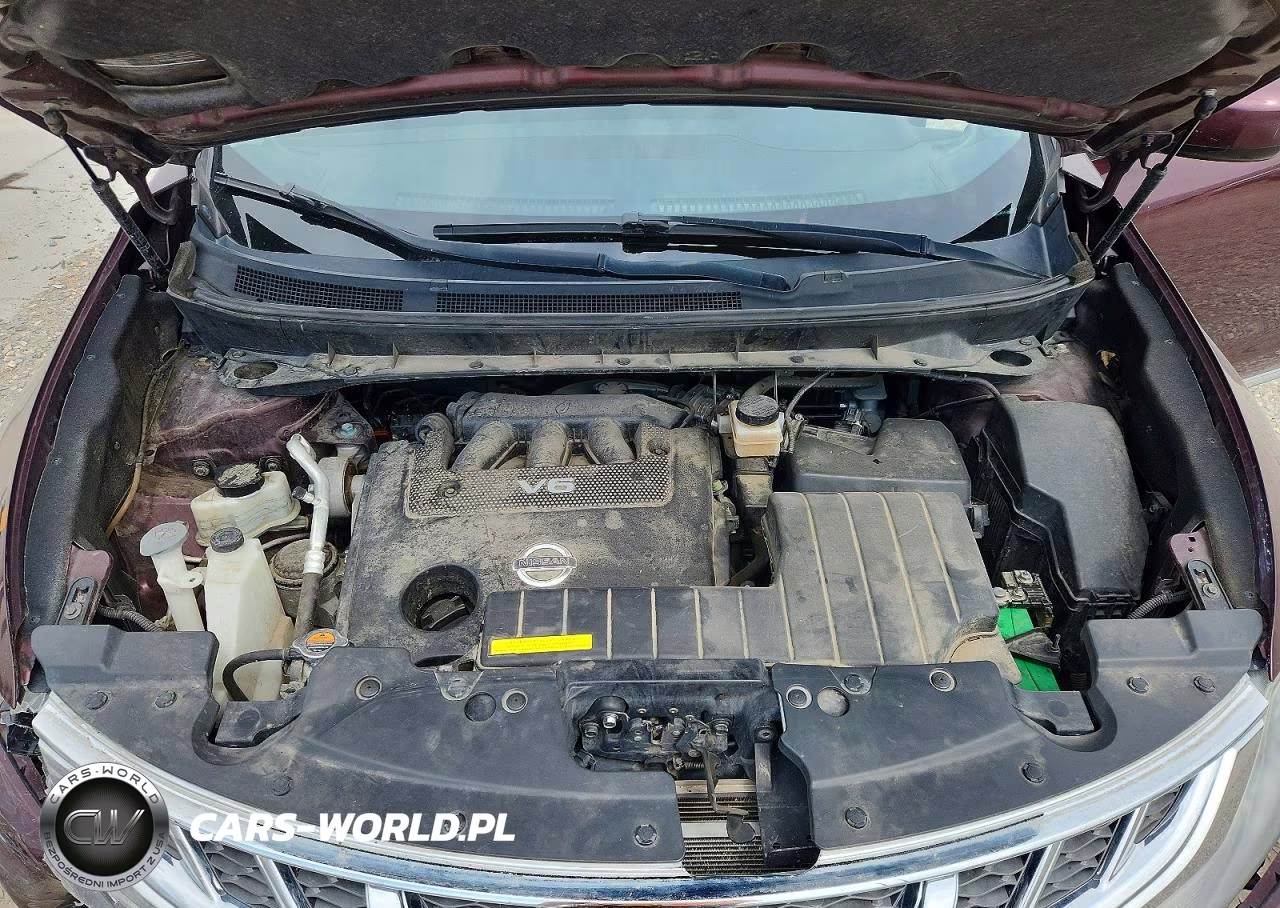 2014 Nissan Murano S VIN:JN8AZ1MW3EW514433 - 11