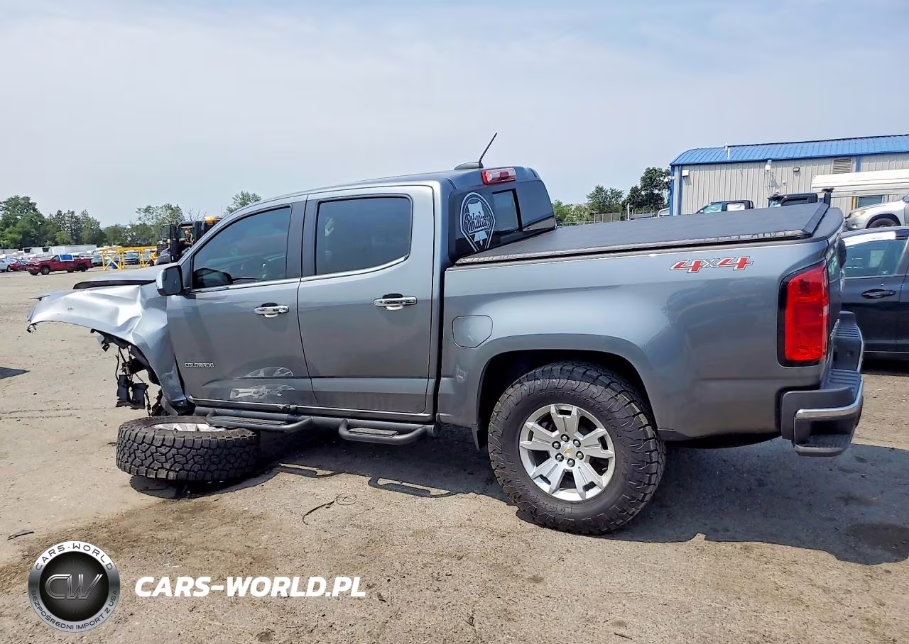2019 Chevrolet Colorado Lt VIN:1GCGTCEN4K1231315 - 2