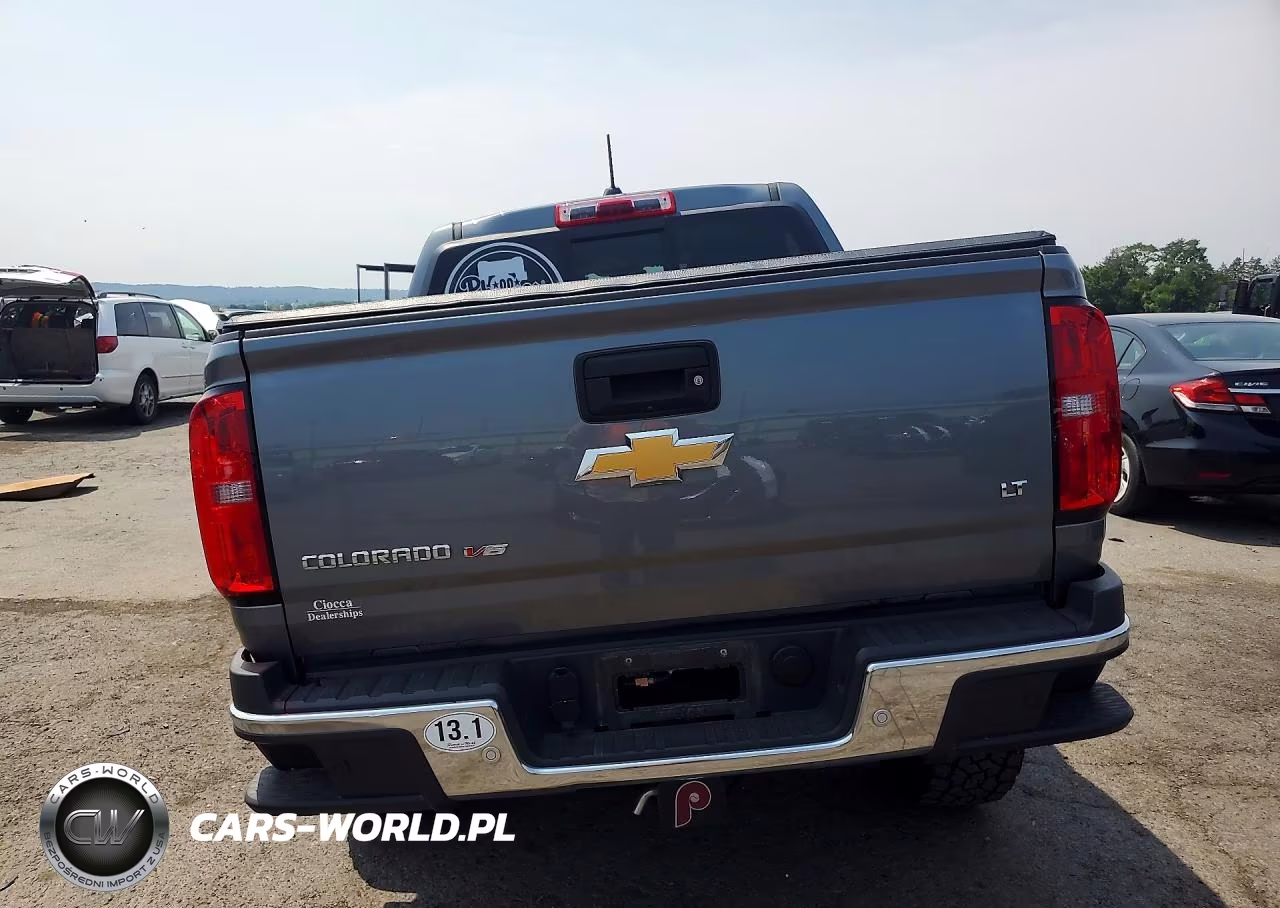 2019 Chevrolet Colorado Lt VIN:1GCGTCEN4K1231315 - 6