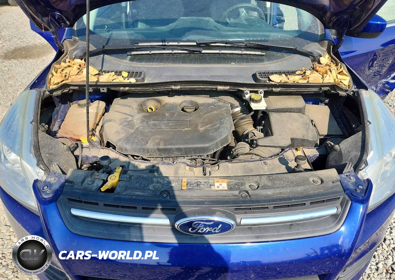 2016 Ford Escape Se VIN:1FMCU9G90GUB67872 - 12