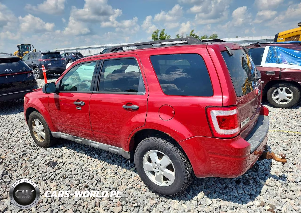 2010 Ford Escape Xlt VIN:1FMCU9DG8AKC92446 - 2