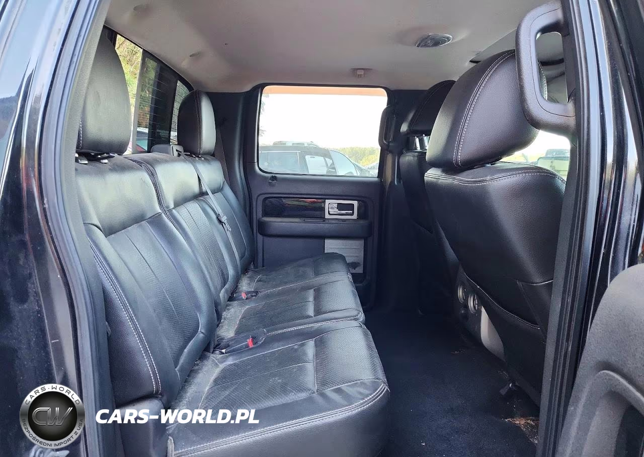 2010 Ford F150 Supercrew VIN:1FTFW1EV3AFD08667 - 10