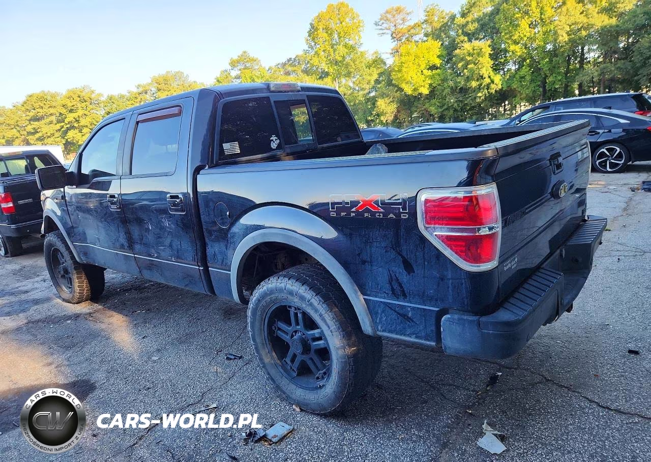 2010 Ford F150 Supercrew VIN:1FTFW1EV3AFD08667 - 2