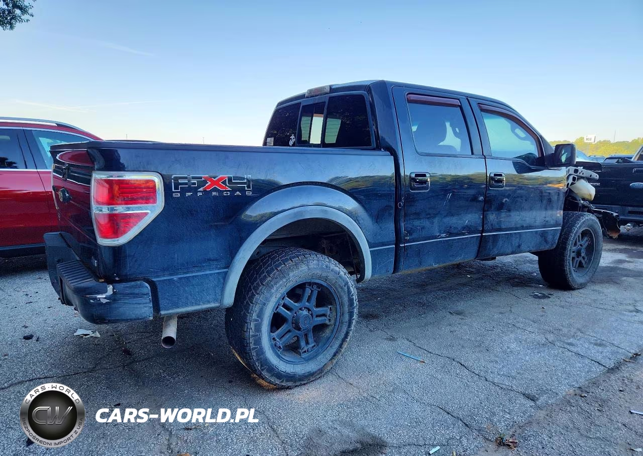 2010 Ford F150 Supercrew VIN:1FTFW1EV3AFD08667 - 3