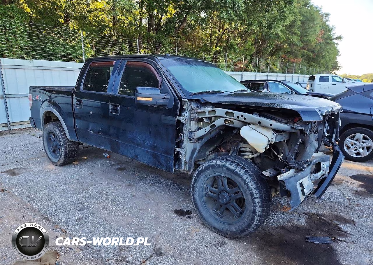 2010 Ford F150 Supercrew VIN:1FTFW1EV3AFD08667 - 4