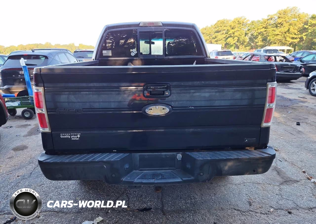 2010 Ford F150 Supercrew VIN:1FTFW1EV3AFD08667 - 6
