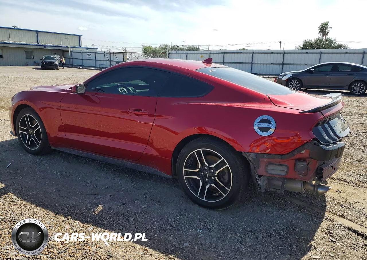 2021 Ford Mustang VIN:1FA6P8TH8M5154220 - 2