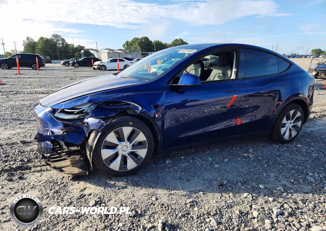 2023 Tesla Model Y VIN:7SAYGDEE2PA075966 - 1
