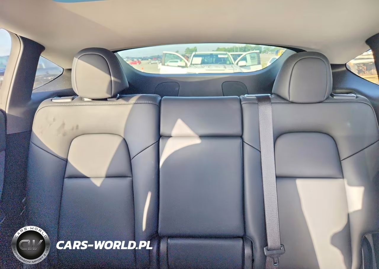 2023 Tesla Model Y VIN:7SAYGDEE2PA075966 - 10