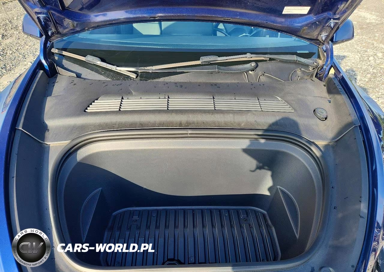 2023 Tesla Model Y VIN:7SAYGDEE2PA075966 - 12
