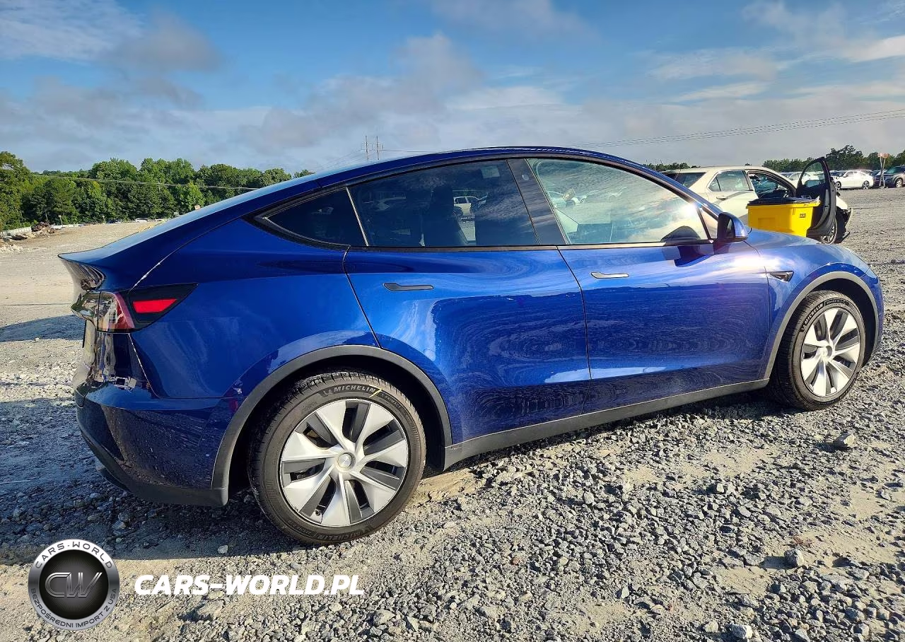 2023 Tesla Model Y VIN:7SAYGDEE2PA075966 - 3