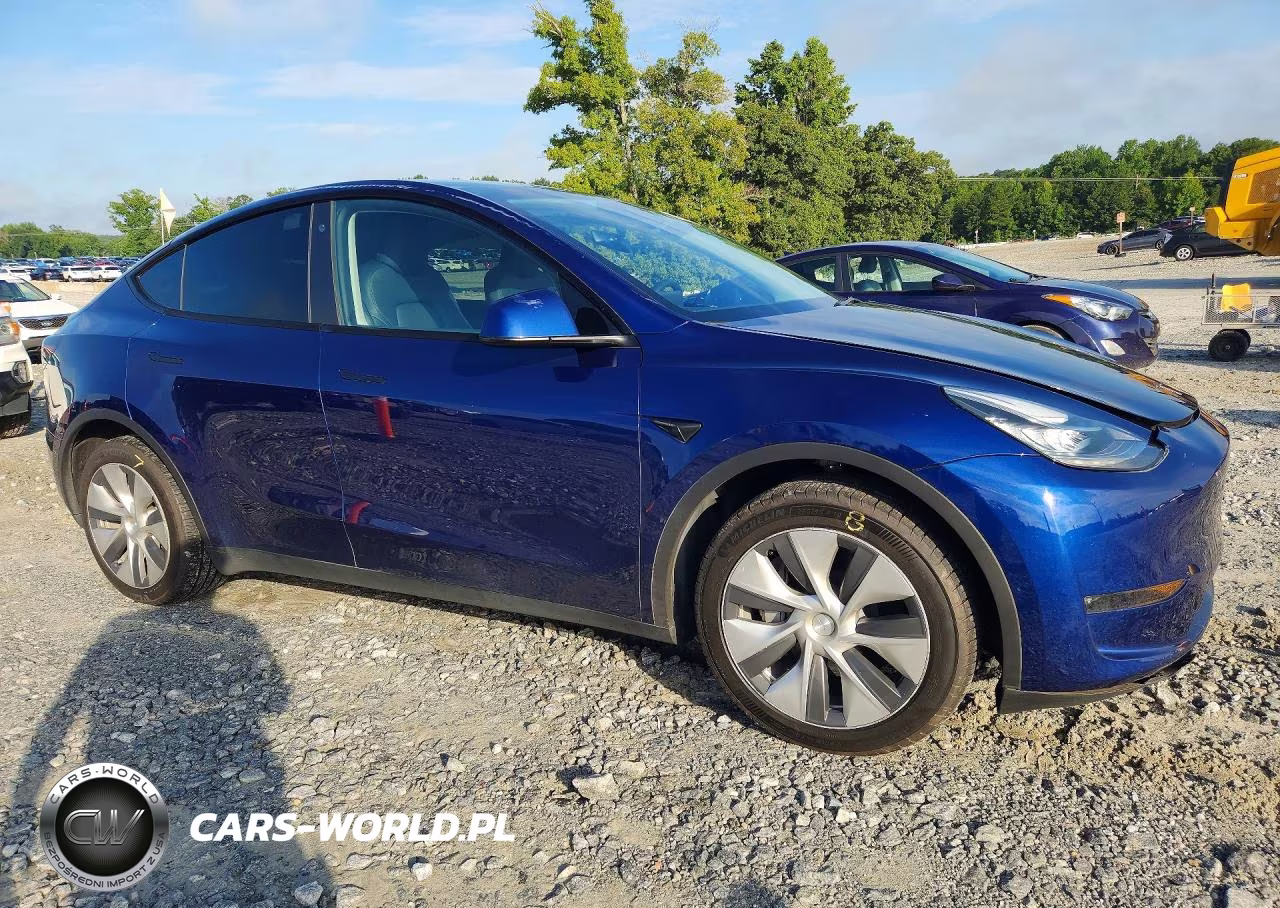2023 Tesla Model Y VIN:7SAYGDEE2PA075966 - 4
