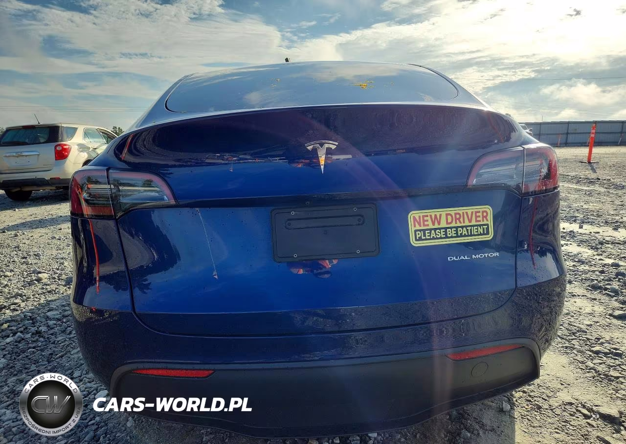 2023 Tesla Model Y VIN:7SAYGDEE2PA075966 - 6