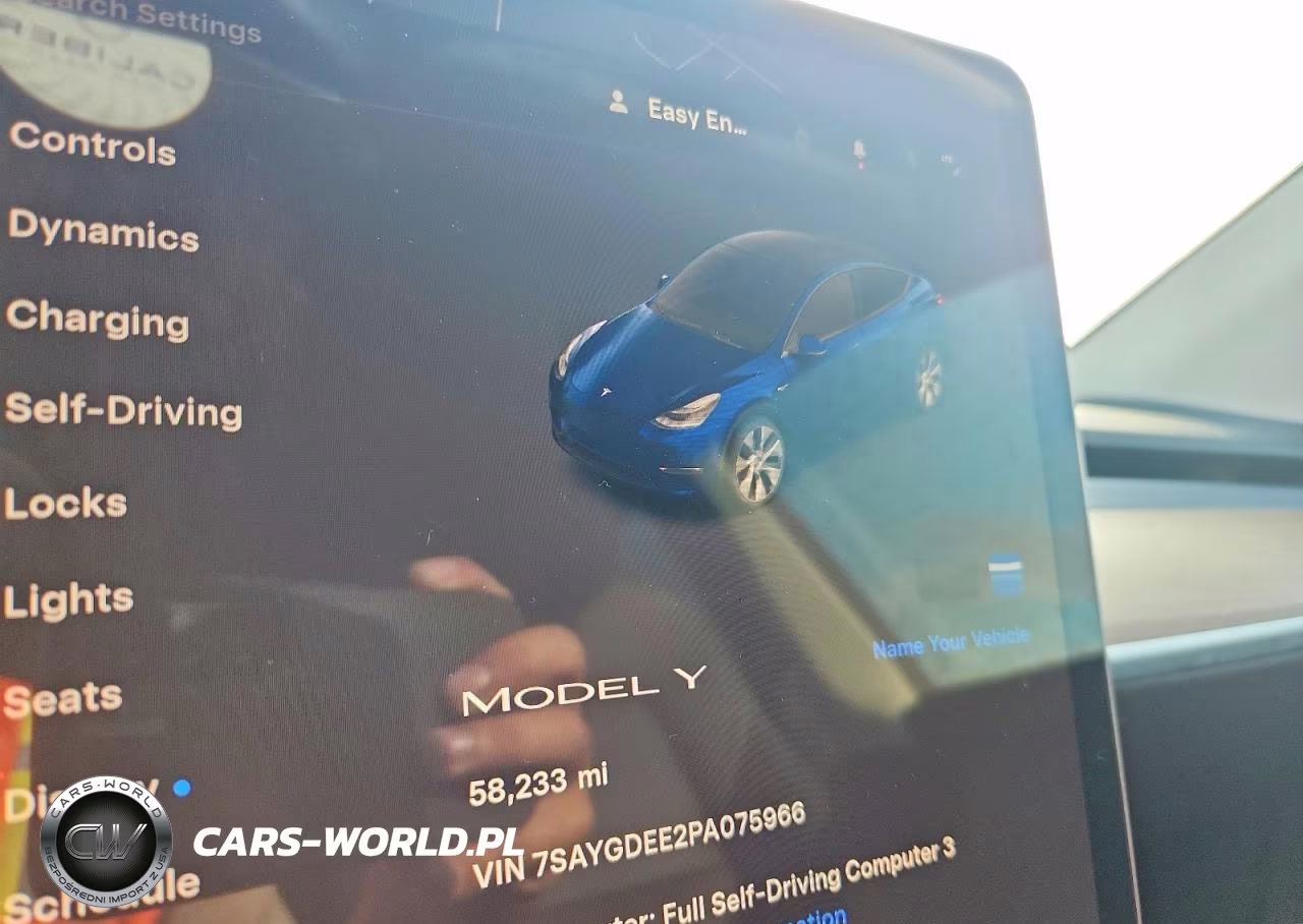 2023 Tesla Model Y VIN:7SAYGDEE2PA075966 - 9