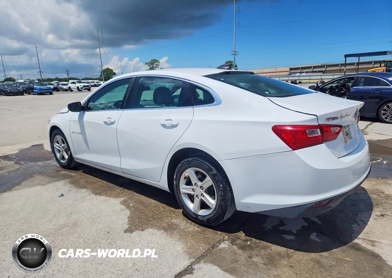 2019 Chevrolet Malibu Ls VIN:1G1ZB5ST6KF227210 - 2