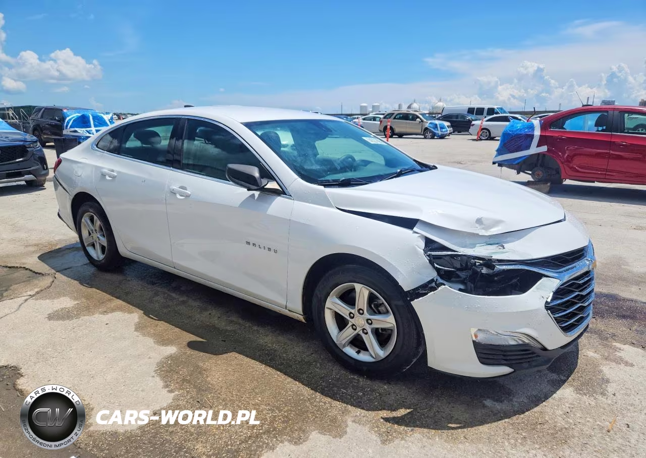 2019 Chevrolet Malibu Ls VIN:1G1ZB5ST6KF227210 - 4