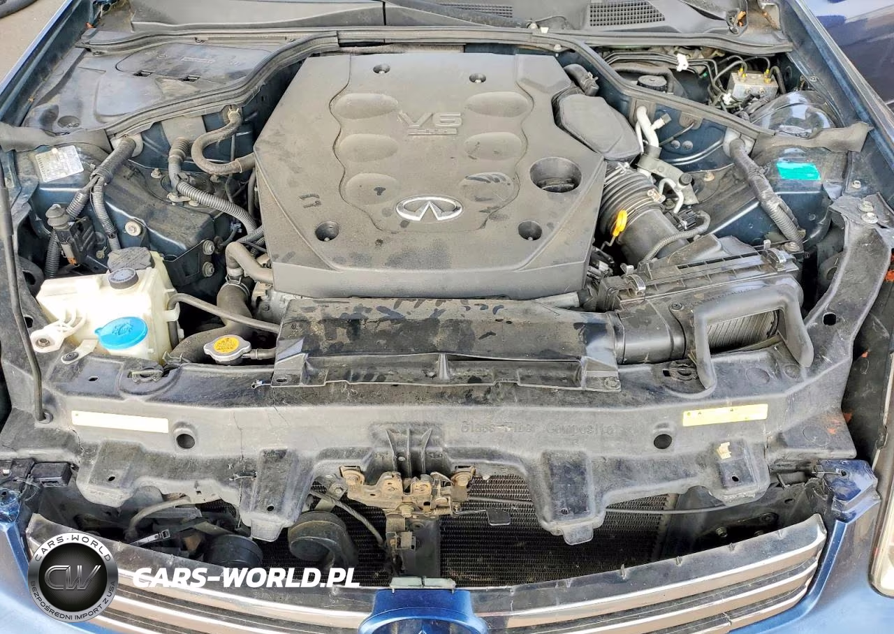 2004 Infiniti G35 Base VIN:JNKCV51E64M606910 - 11