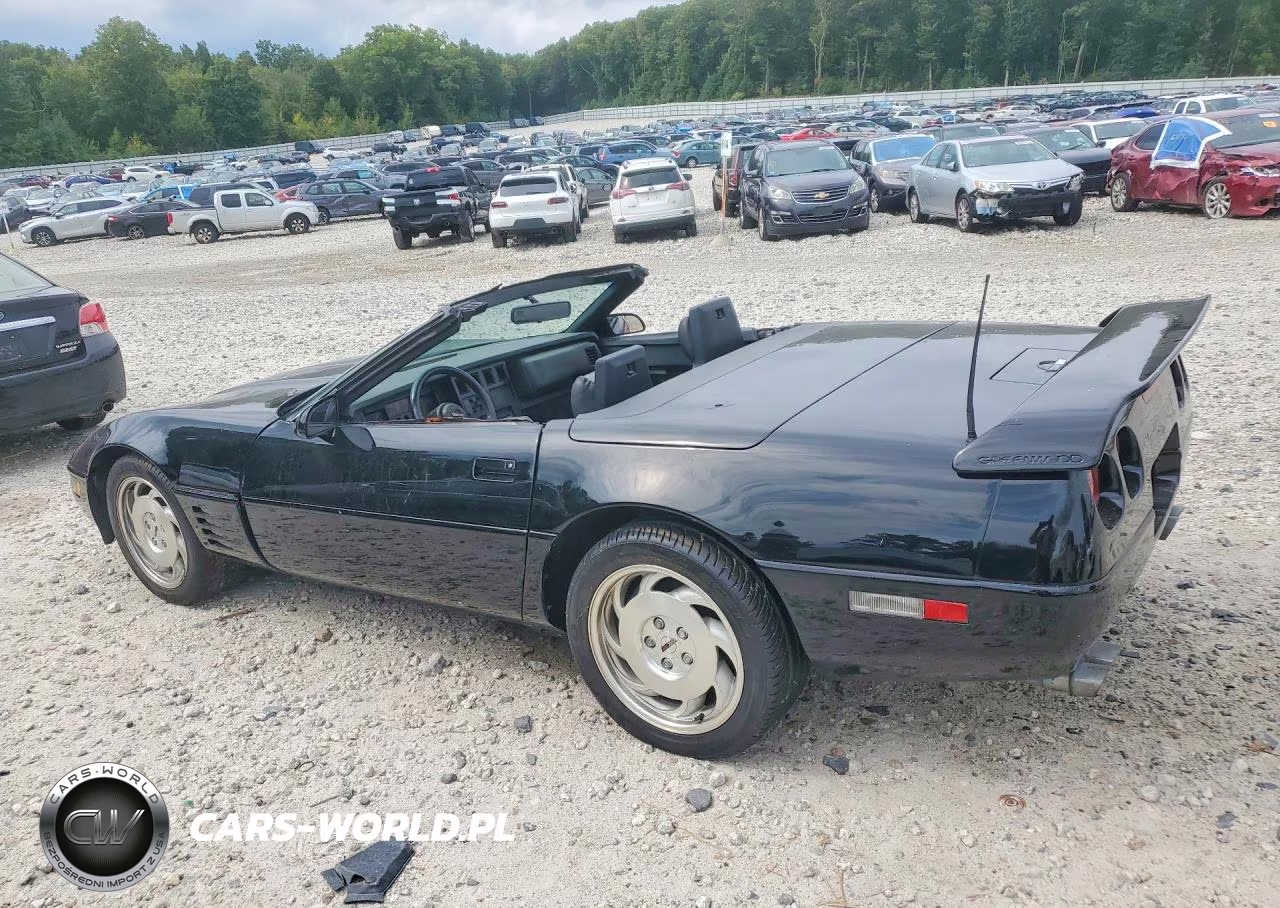2001 Chevrolet Corvette VIN:1G1YY2184H5111475 - 2