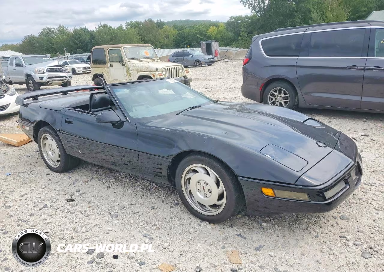 2001 Chevrolet Corvette VIN:1G1YY2184H5111475 - 4