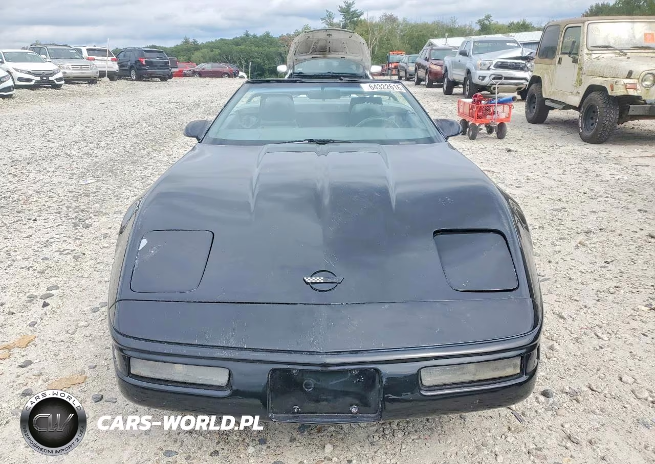 2001 Chevrolet Corvette VIN:1G1YY2184H5111475 - 5