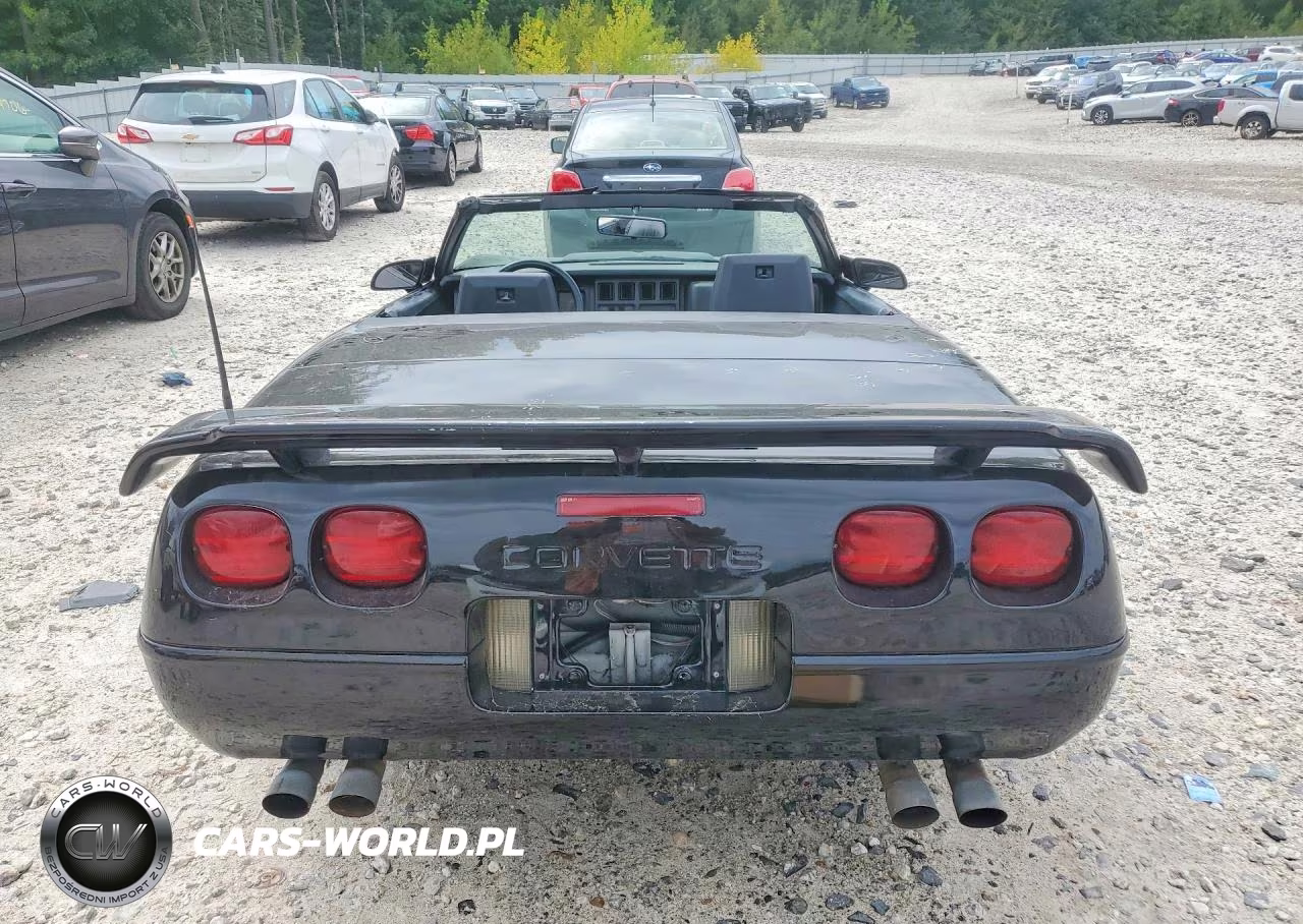 2001 Chevrolet Corvette VIN:1G1YY2184H5111475 - 6
