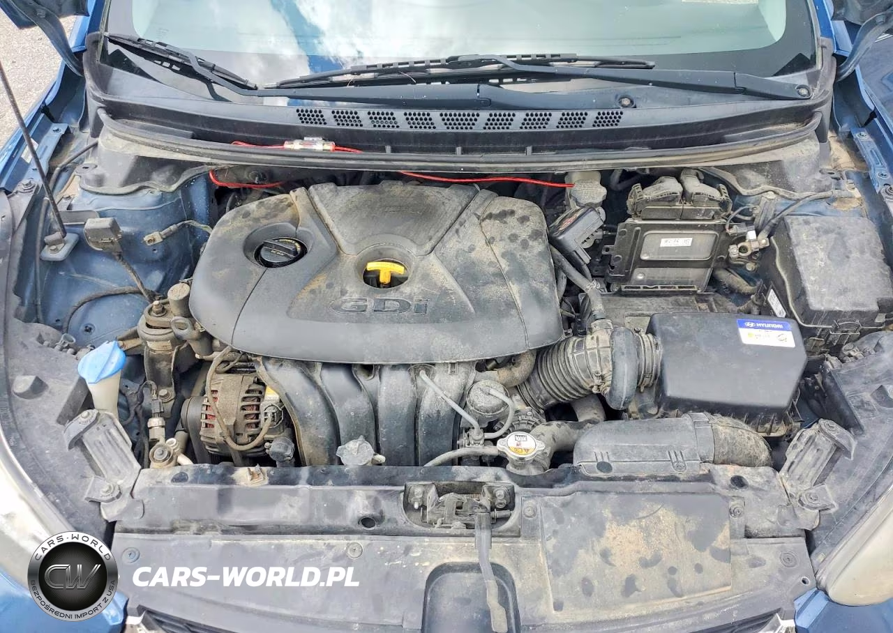2014 Hyundai Elantra Coupe Base VIN:KMHDH6AH9EU024844 - 11