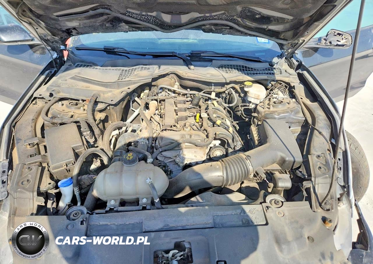 2021 Ford Mustang VIN:1FA6P8TH4M5152920 - 11