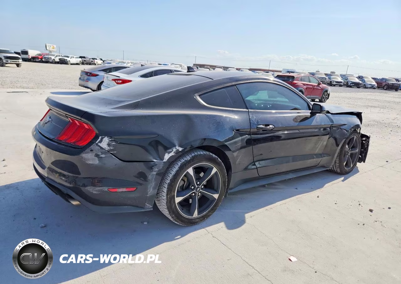 2021 Ford Mustang VIN:1FA6P8TH4M5152920 - 3
