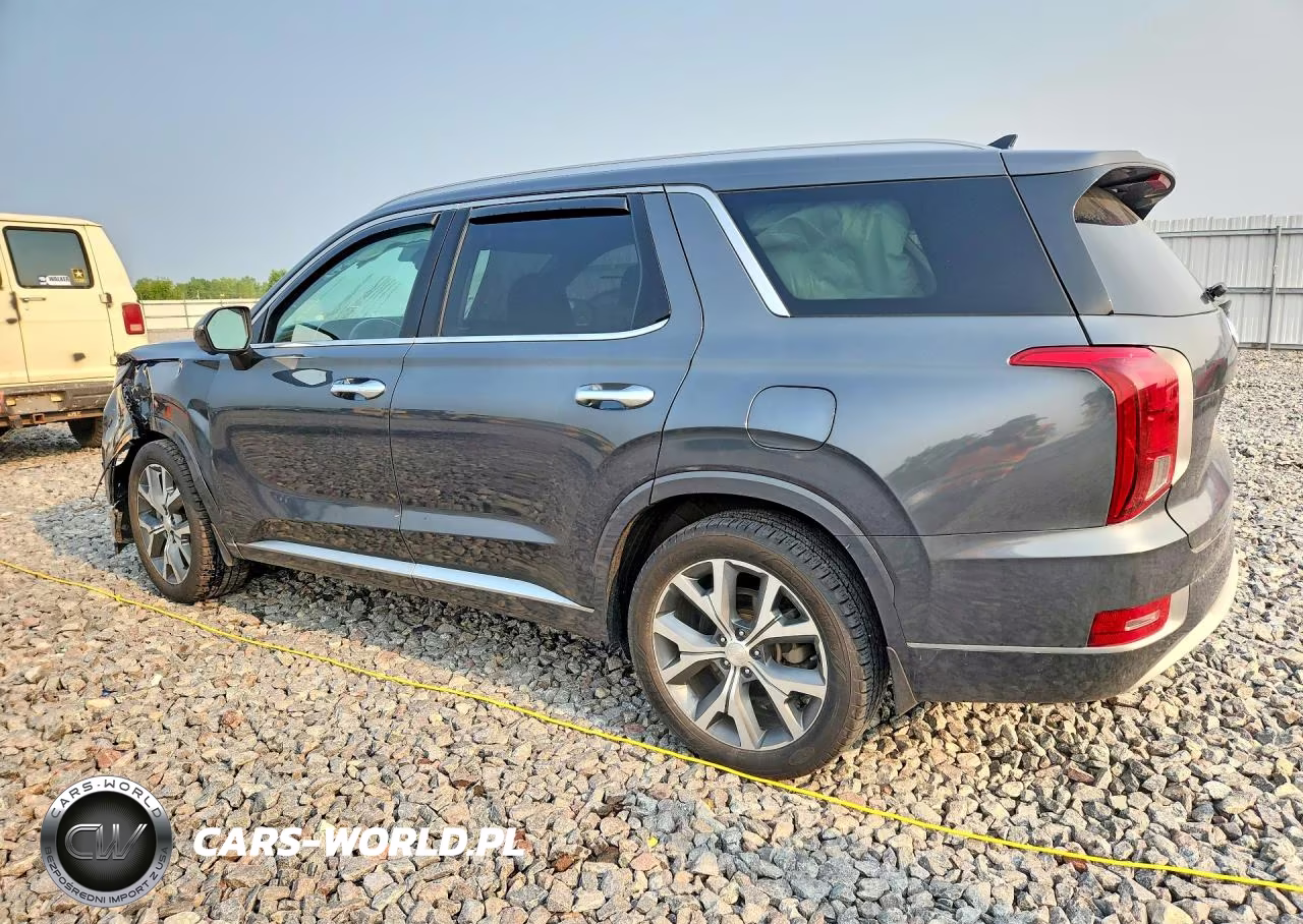 2021 Hyundai Palisade Limited VIN:KM8R5DHE0MU200645 - 2