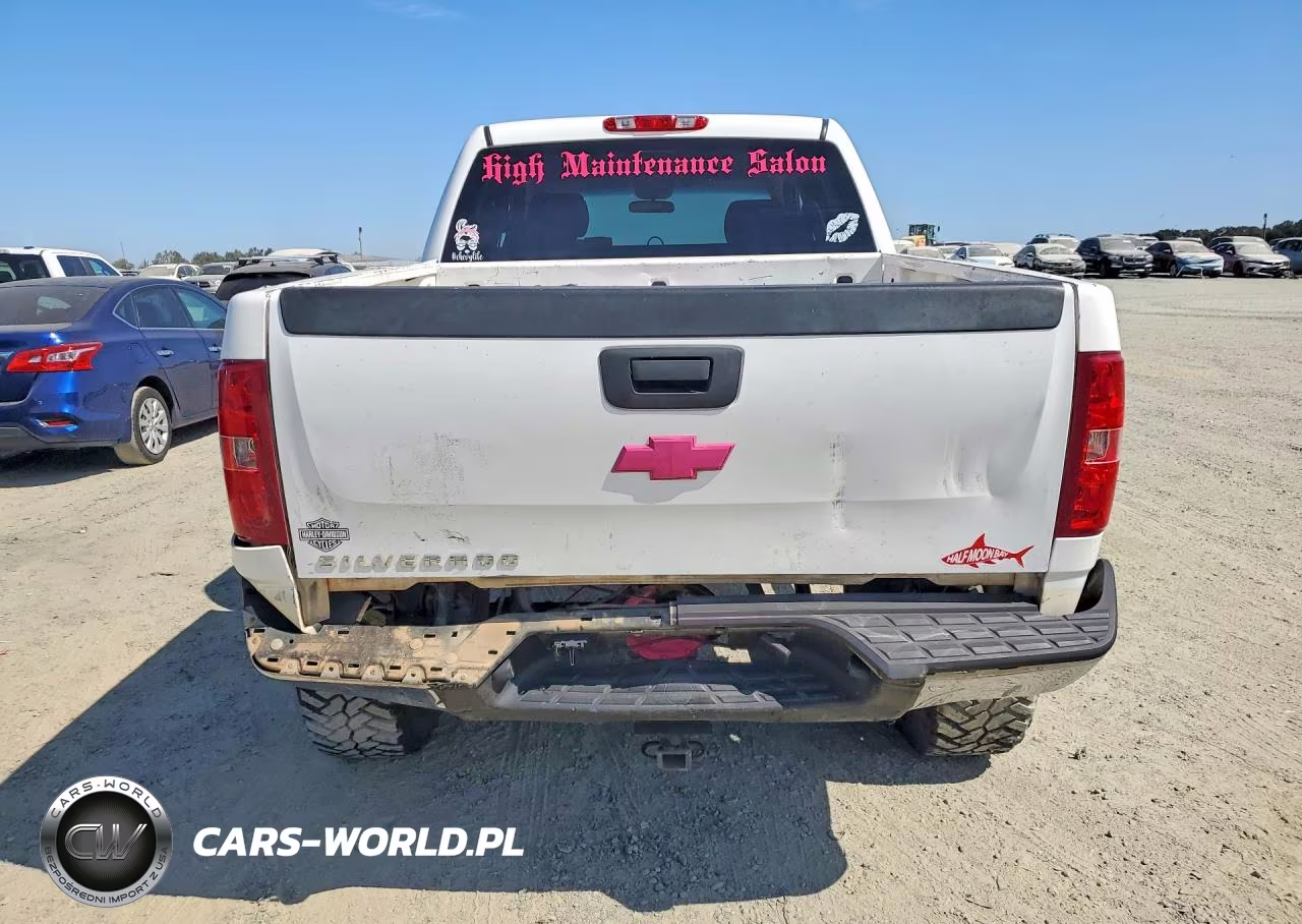 2010 Chevrolet Silverado K1500 Lt VIN:3GCRKSEA1AG122829 - 6
