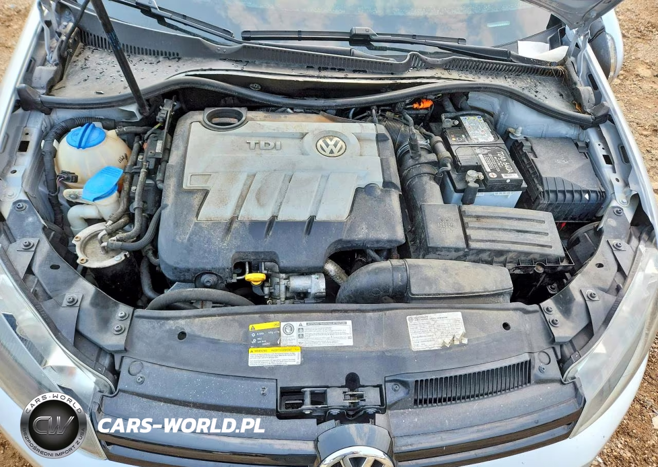 2014 Volkswagen Golf VIN:WVWDM7AJ8EW000239 - 11