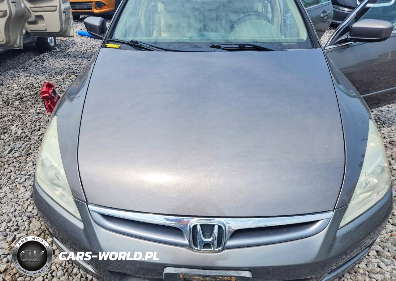 2006 Honda Accord Ex VIN:1HGCM66836A067195 - 11