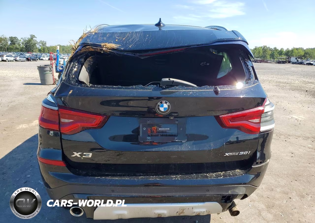 2020 BMW X3 xDrive30I VIN:5UXTY5C06L9B79029 - 6