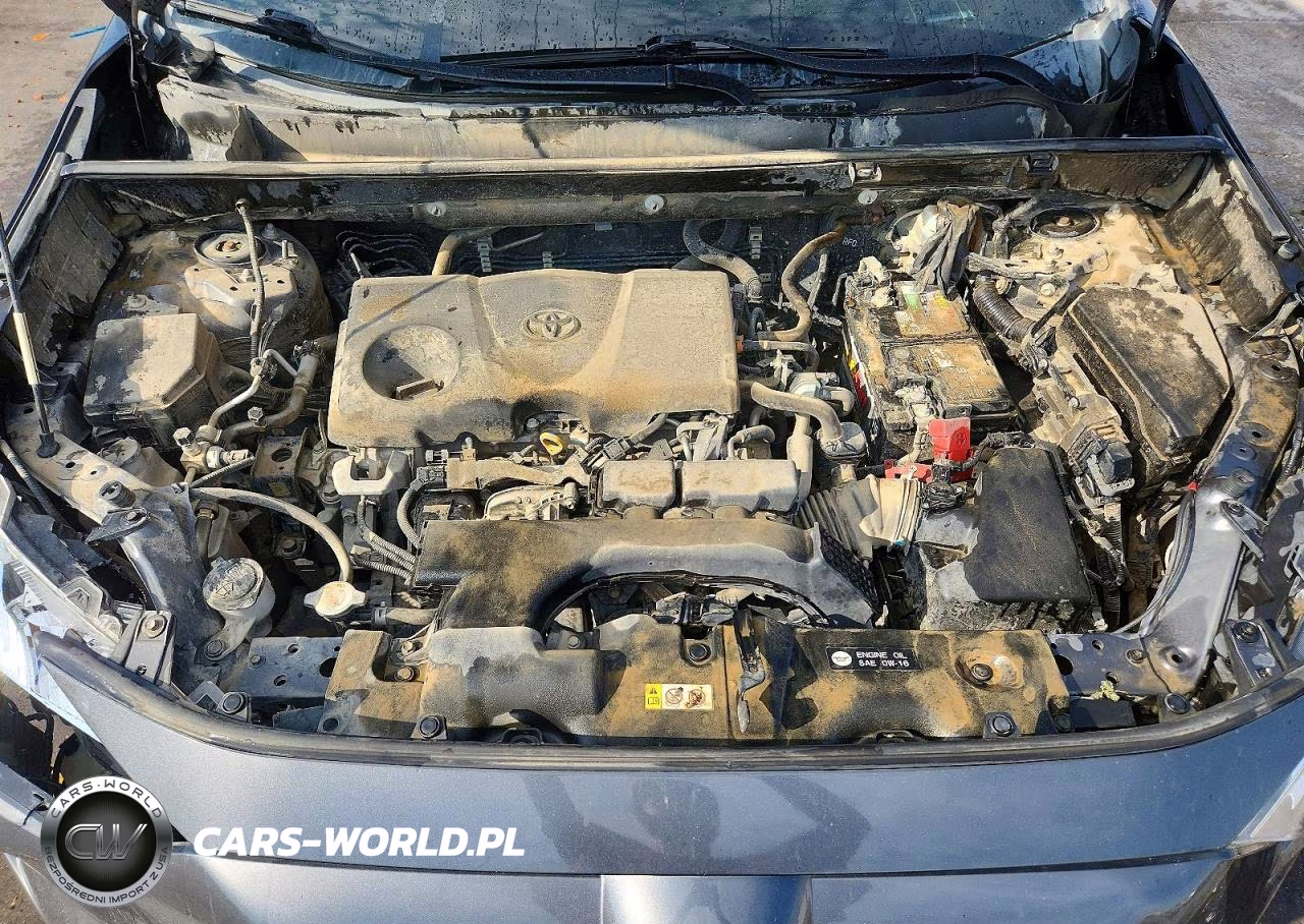 2020 Toyota Rav4 Xle VIN:JTMP1RFV0LD054012 - 12
