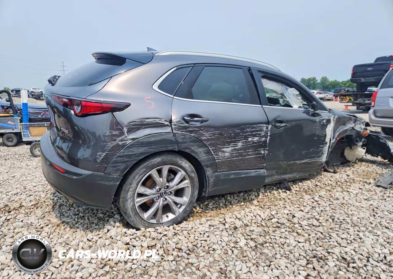 2021 Mazda Cx-30 Premium VIN:3MVDMBDL9MM252529 - 3
