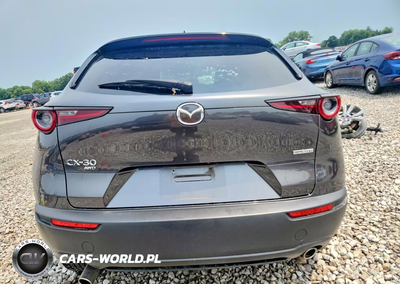 2021 Mazda Cx-30 Premium VIN:3MVDMBDL9MM252529 - 6