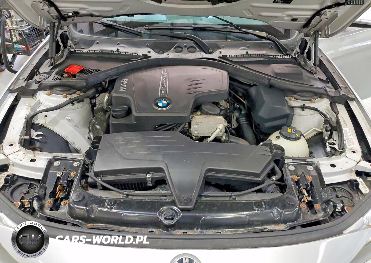 2016 BMW 320 Xi VIN:WBA8A3C58GK551748 - 11