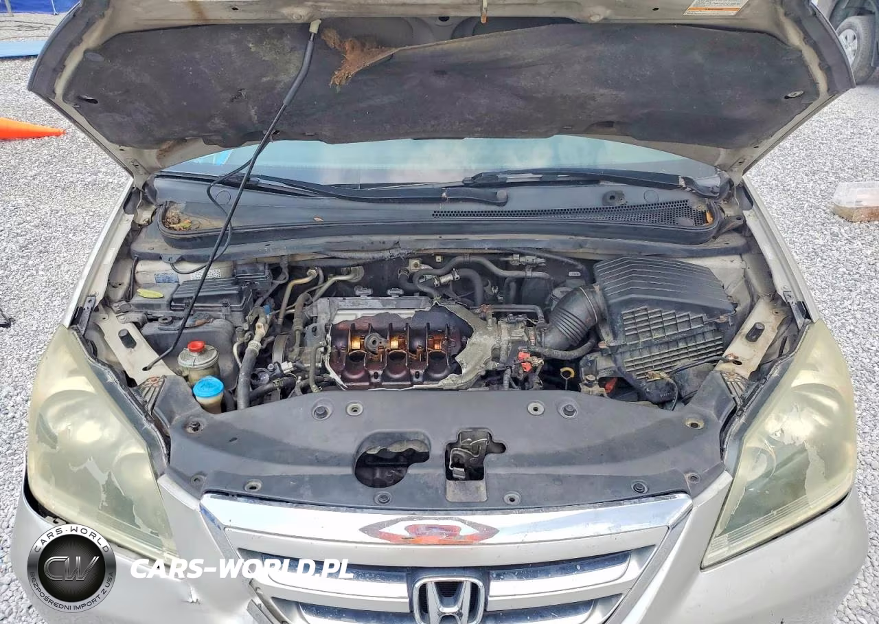 2006 Honda Odyssey Exl VIN:5FNRL38666B406450 - 12