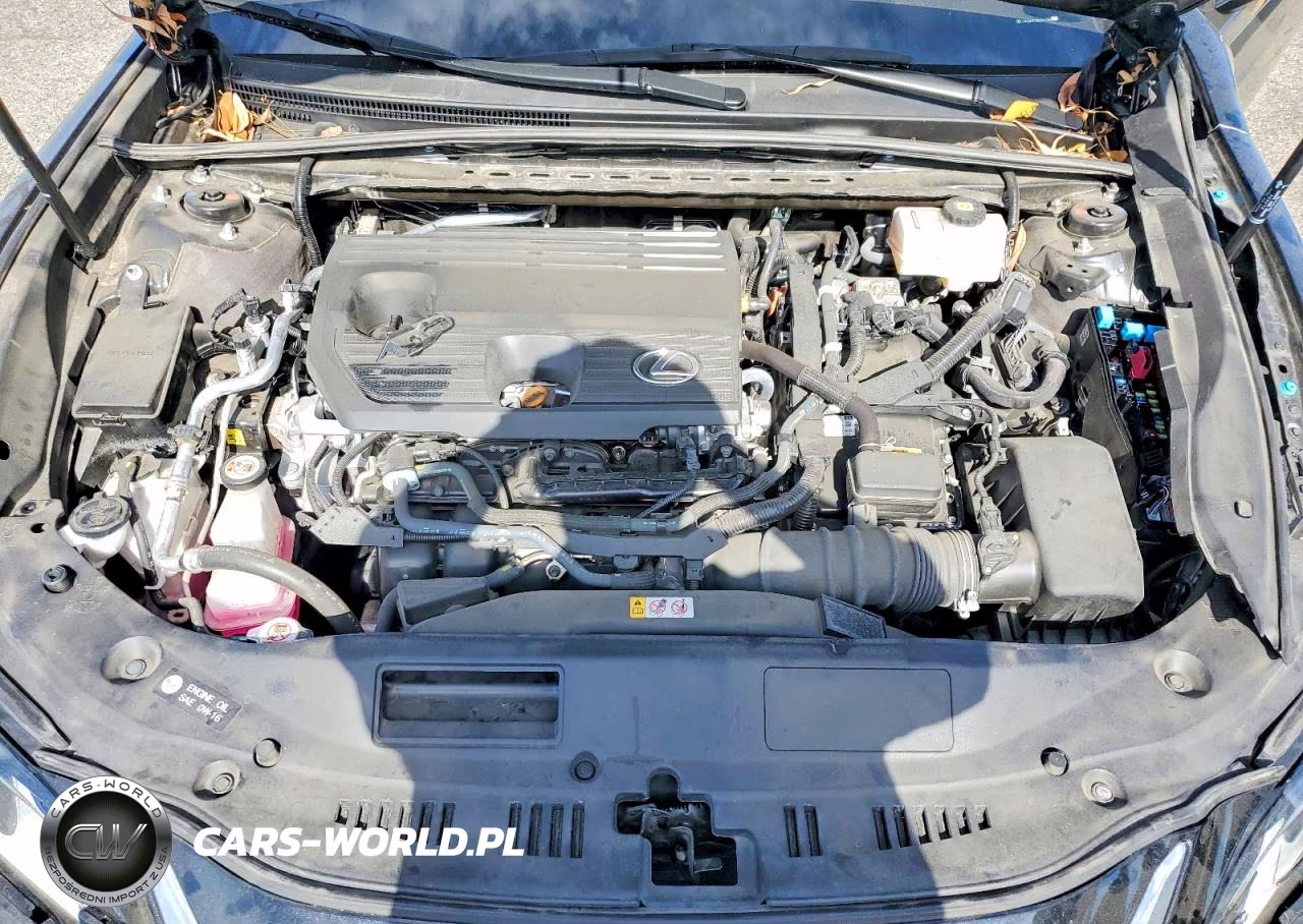 2024 Lexus Es 300H Base VIN:58ADA1C18RU054309 - 11