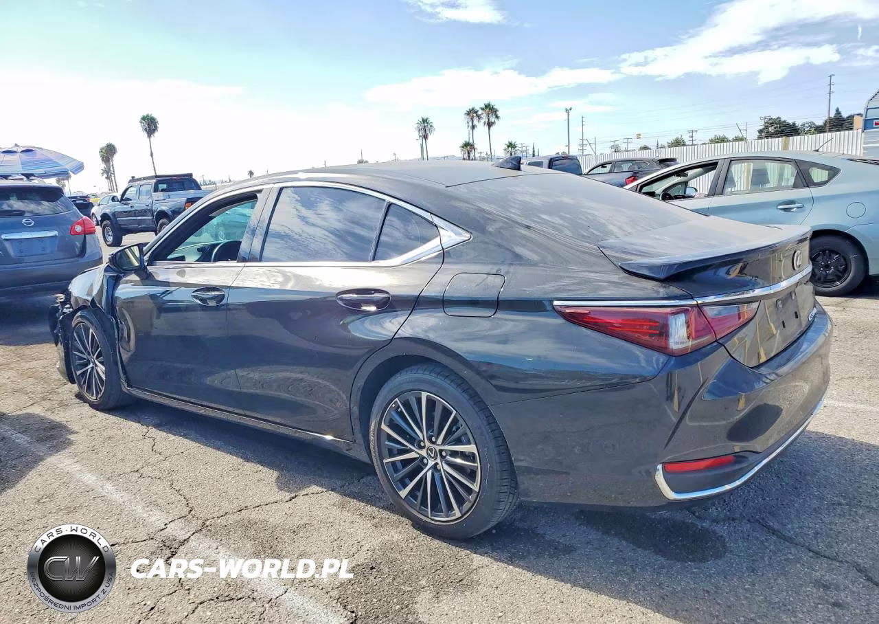 2024 Lexus Es 300H Base VIN:58ADA1C18RU054309 - 2