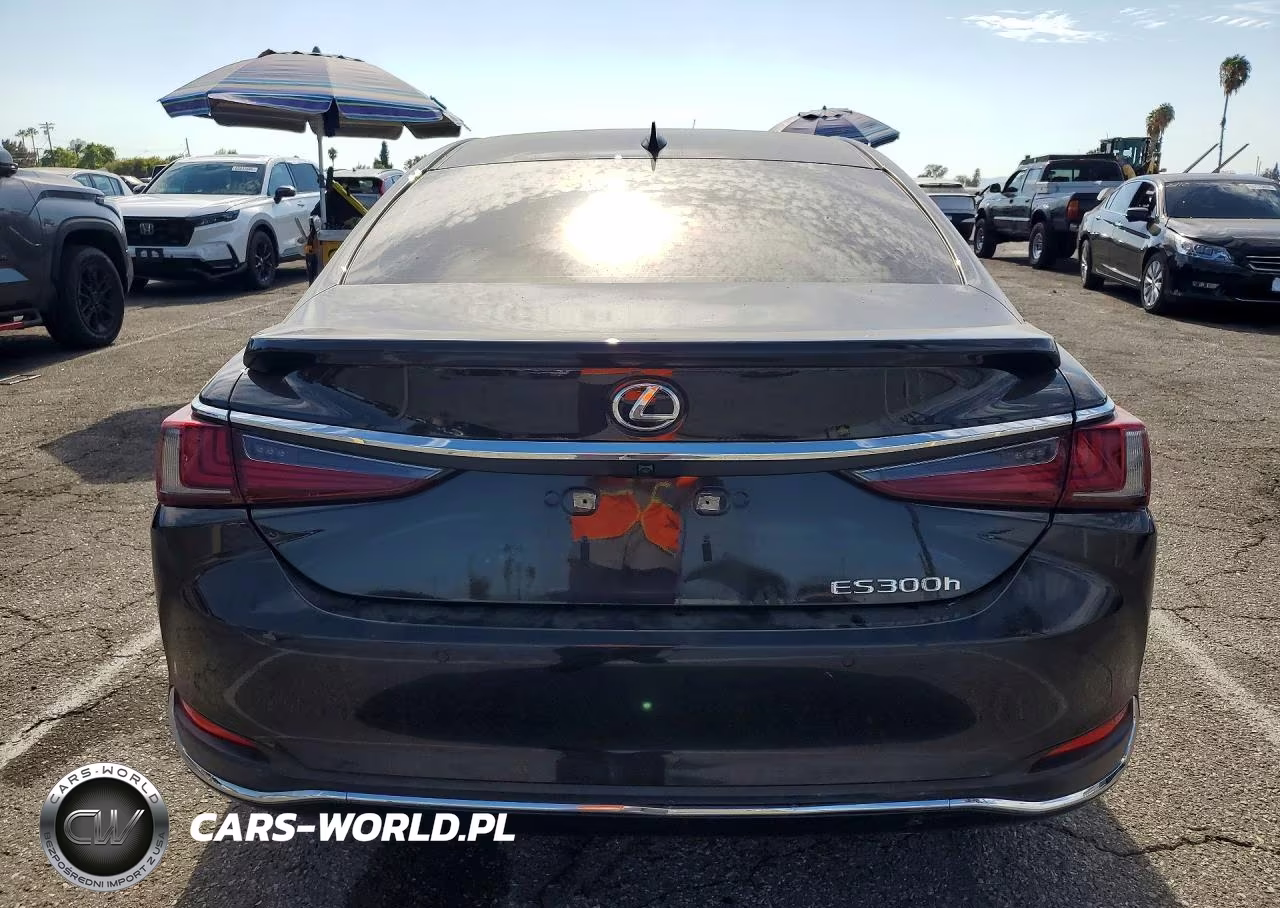 2024 Lexus Es 300H Base VIN:58ADA1C18RU054309 - 6