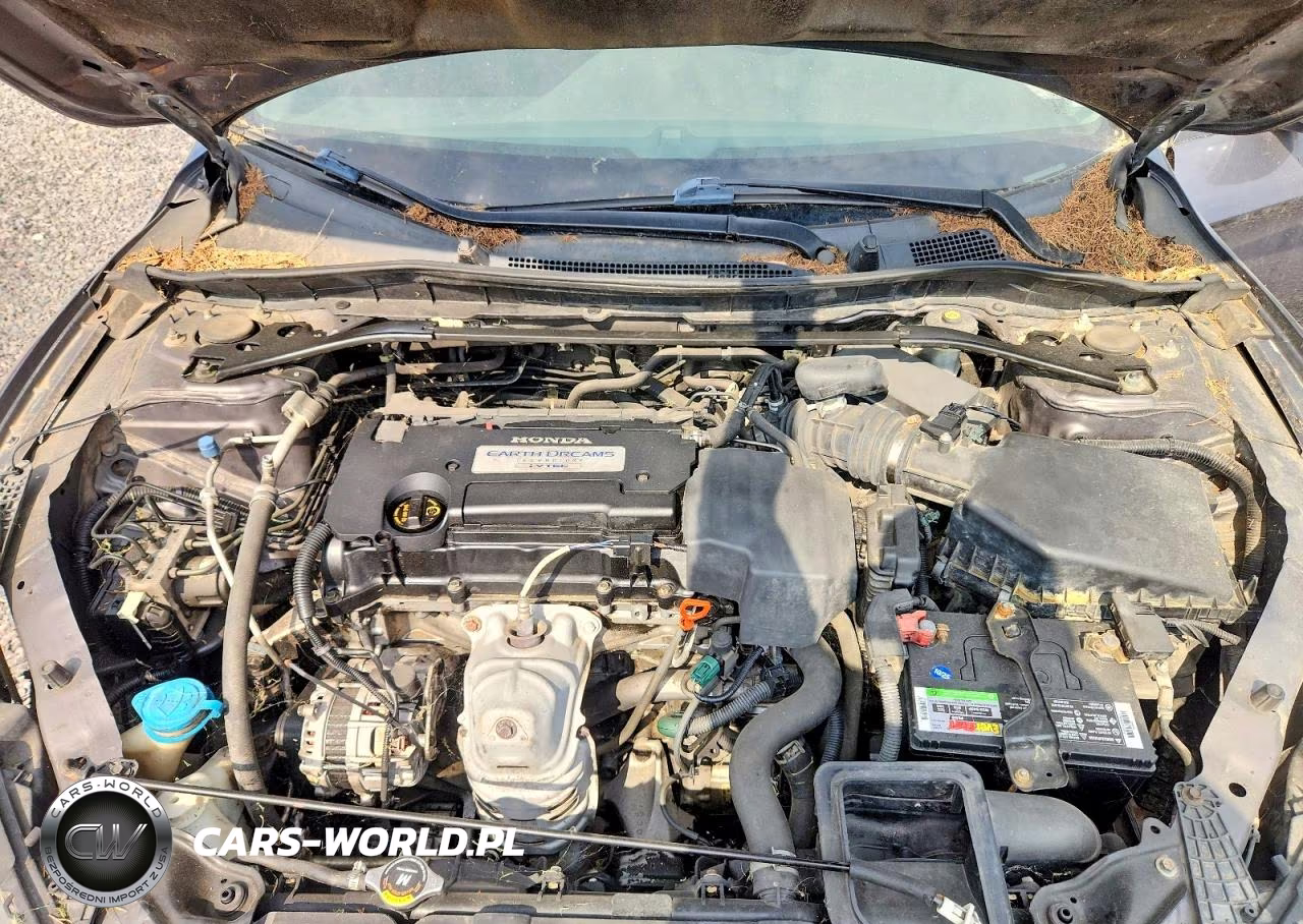 2013 Honda Accord Ex VIN:1HGCR2F7XDA244209 - 11