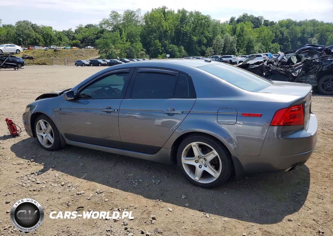 2005 Acura Tl VIN:19UUA66255A007409 - 2