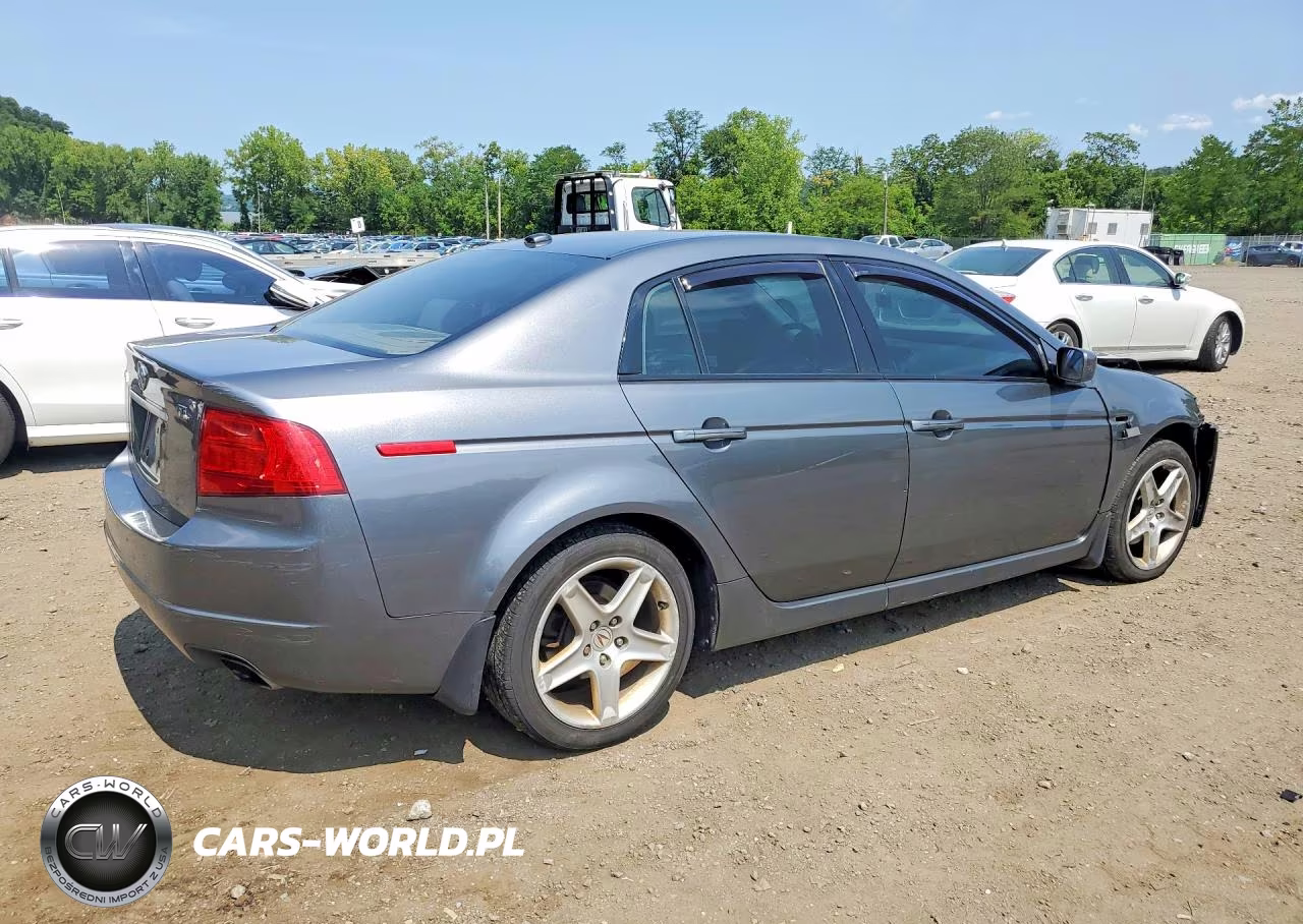 2005 Acura Tl VIN:19UUA66255A007409 - 3